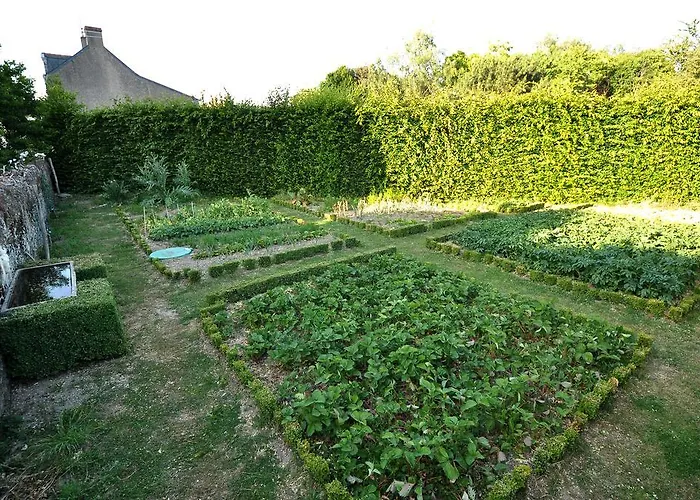 Nocleg ze śniadaniem Grange Du Plessis Segré