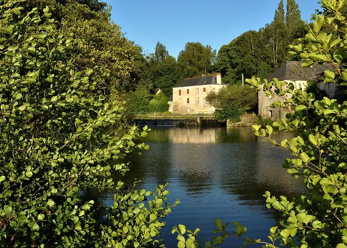 Grange Du Plessis Bed & Breakfast Segré